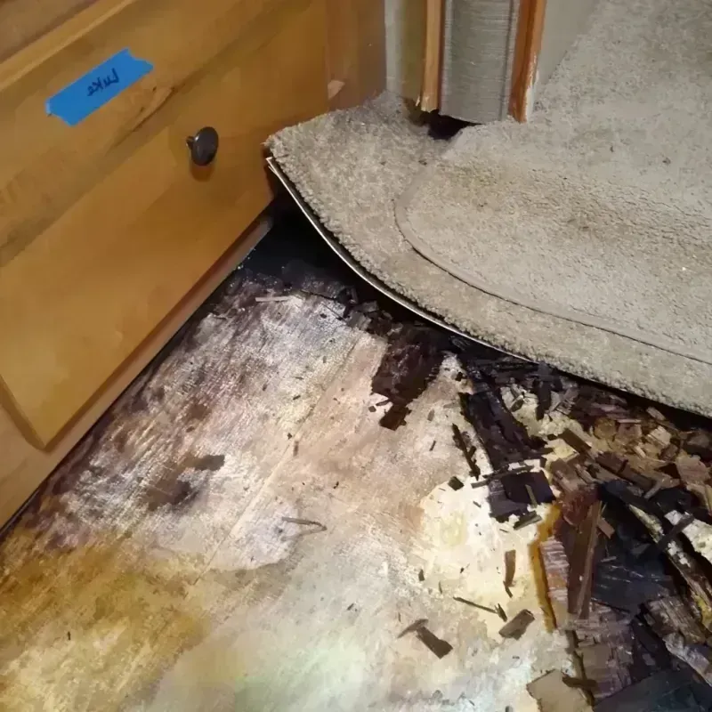 Wood Floor Water Damage in Thornton, CO